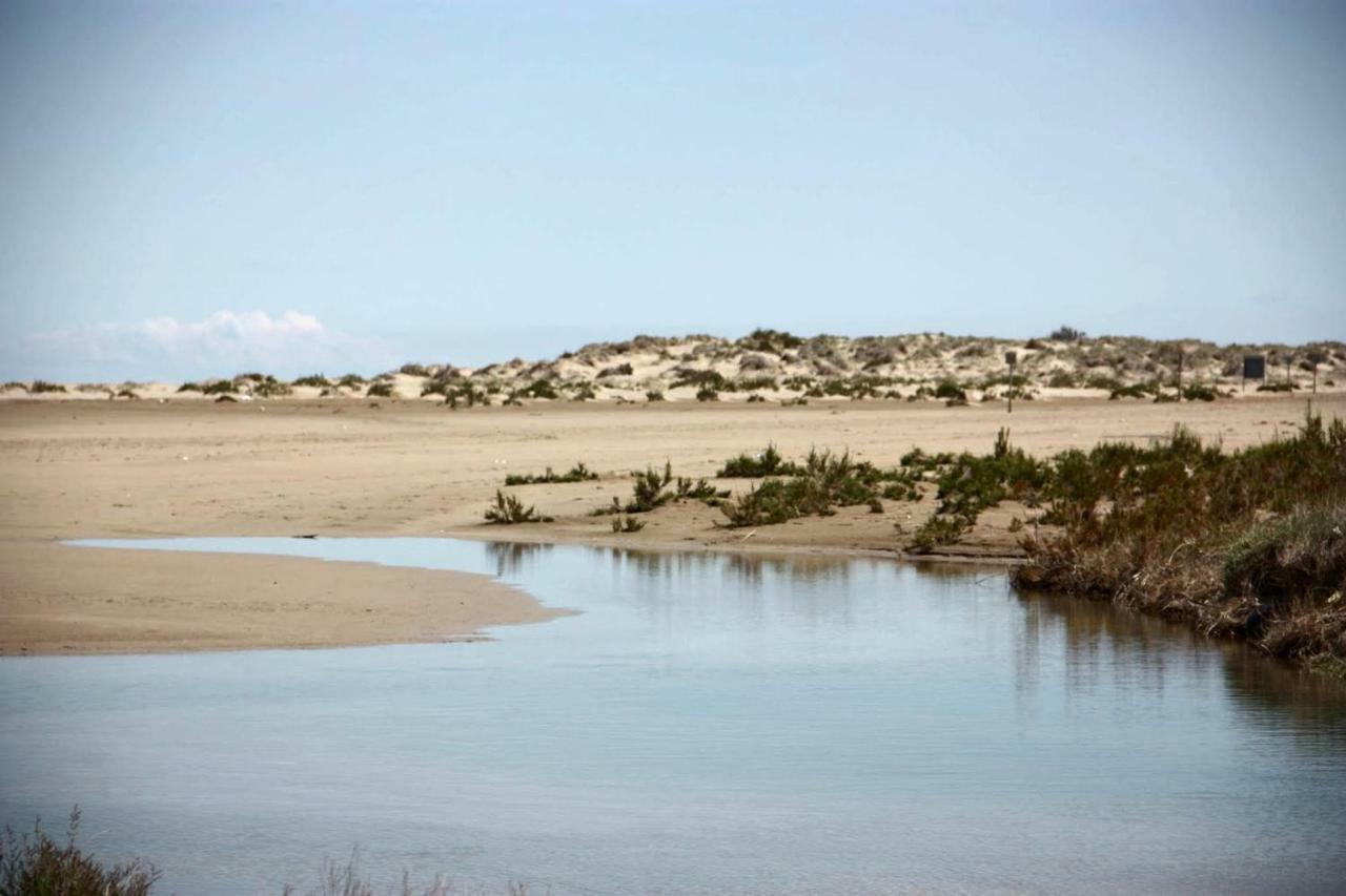 Mi Apartamento En El Delta Del Ebro+ デルテブレ エクステリア 写真