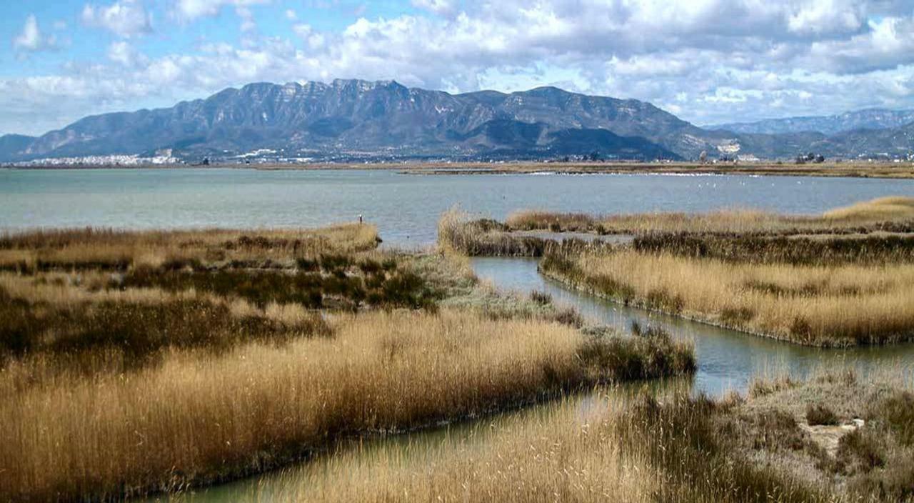Mi Apartamento En El Delta Del Ebro+ デルテブレ エクステリア 写真