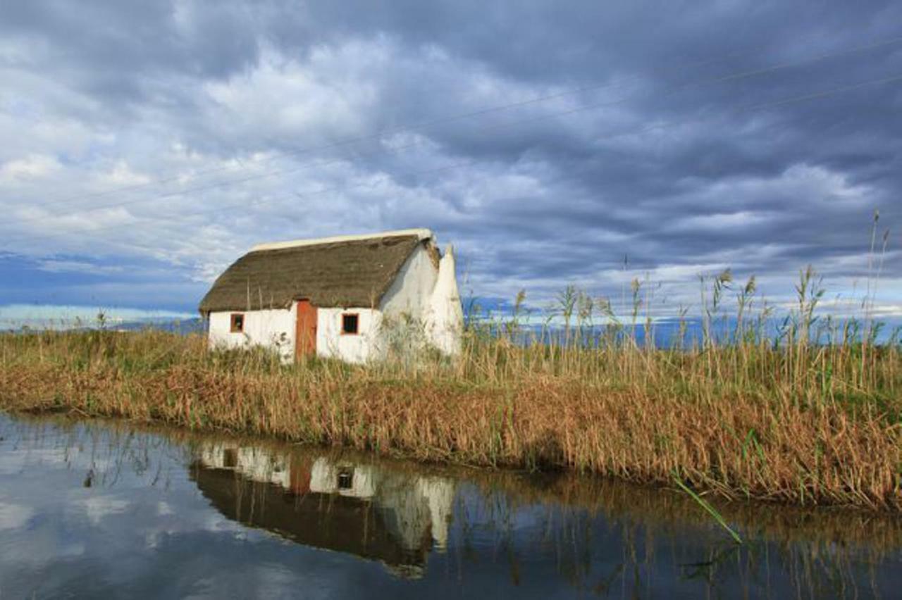 Mi Apartamento En El Delta Del Ebro+ デルテブレ エクステリア 写真